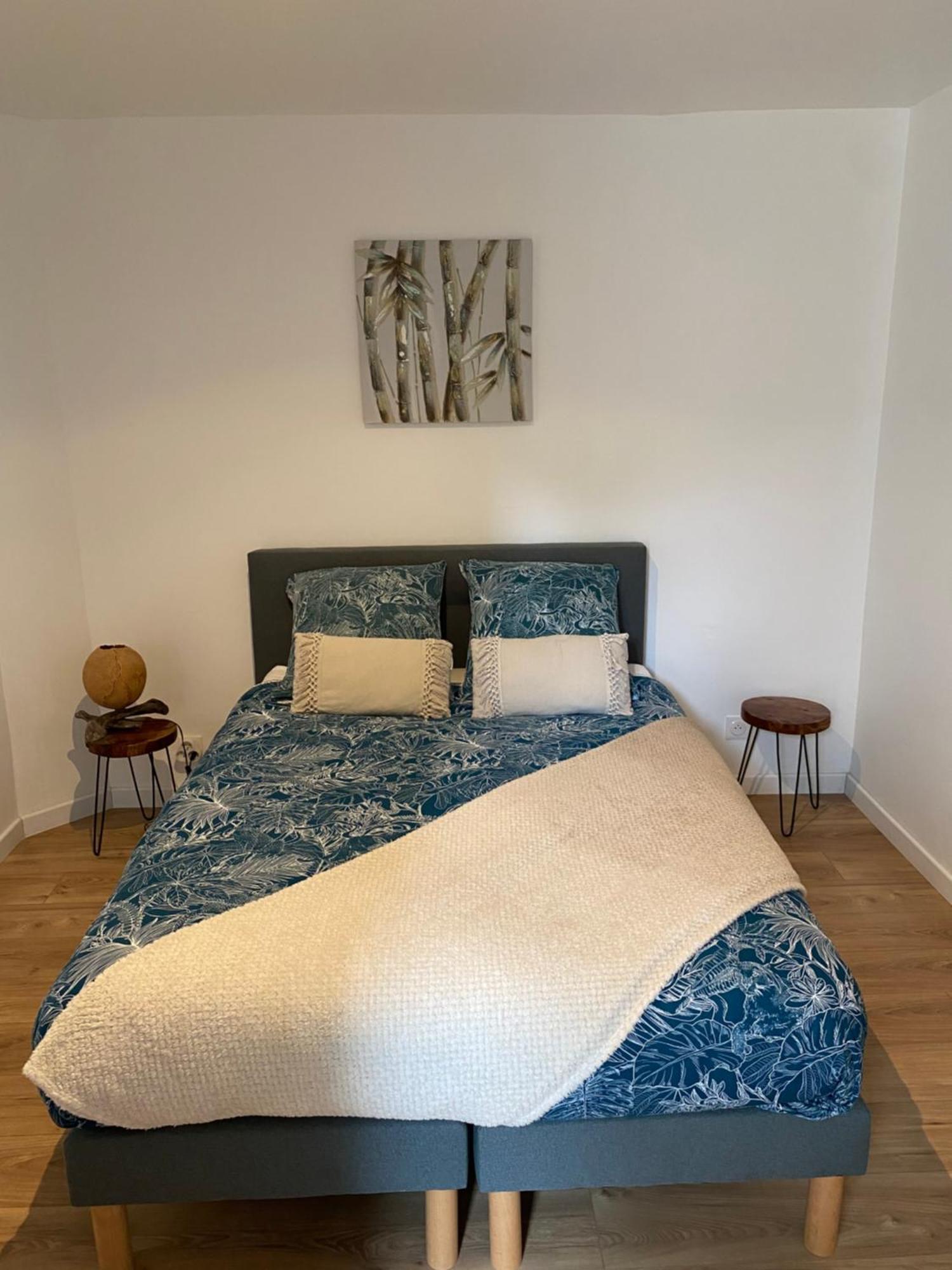 • Bel Appartement - Centre Historique De 普瓦捷 外观 照片